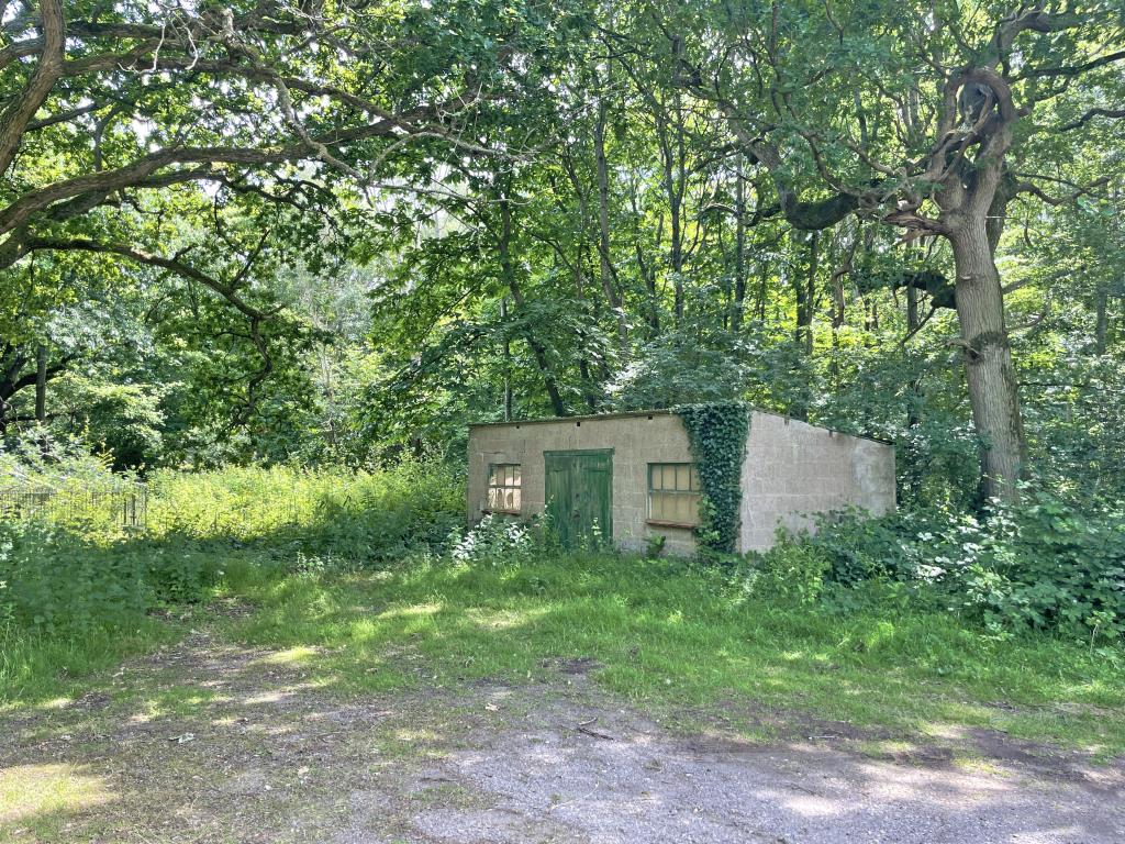 Lot: 36 - A COLLECTION OF DERELICT BUILDINGS ON A WOODED RURAL SITE EXTENDING TO 1.41 ACRES -